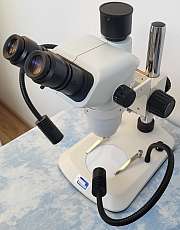 Stereo-Mikroskop trinokular mit LED-Schwanenhälsen (Vorführgerät)